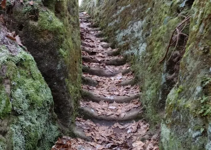 Apartament Nostalgicka Mys *